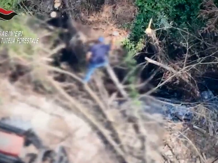Live aus der Luft: Drohne schnappt Waldbrand-Pyromanen in Italien - VIDEO