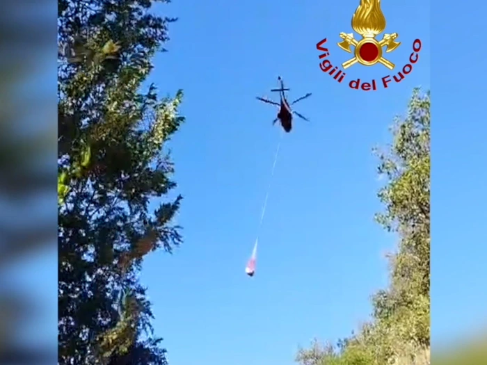 Kuh in Abgrund: Mit Heli gerettet - Video