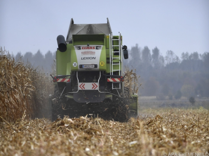 Landwirt im Innviertel bei Maisernte tödlich verunglückt