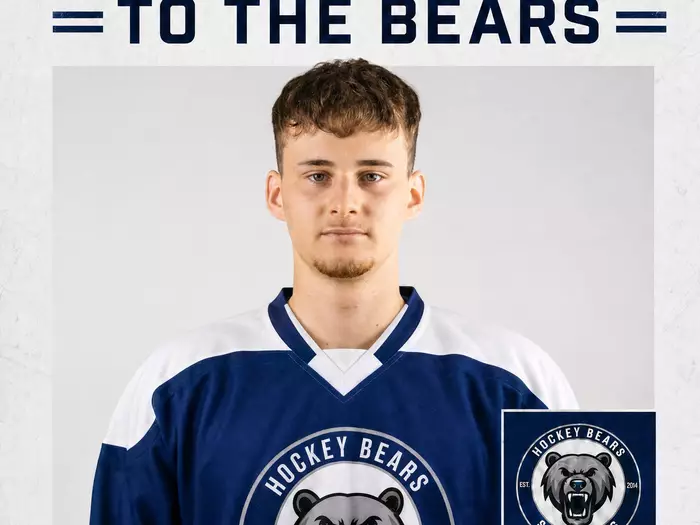 Bears auf dem Weg nach Padua