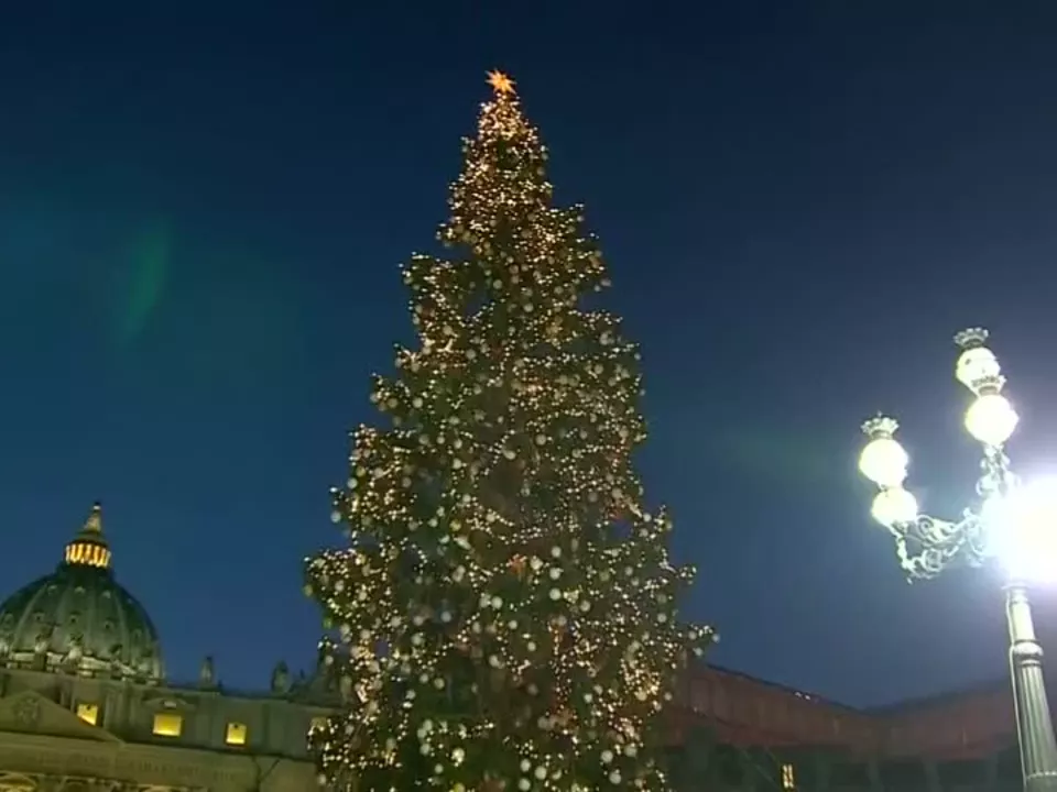 Weihnachten kann kommen: Vatikan erleuchtet 25-Meter-Fichte