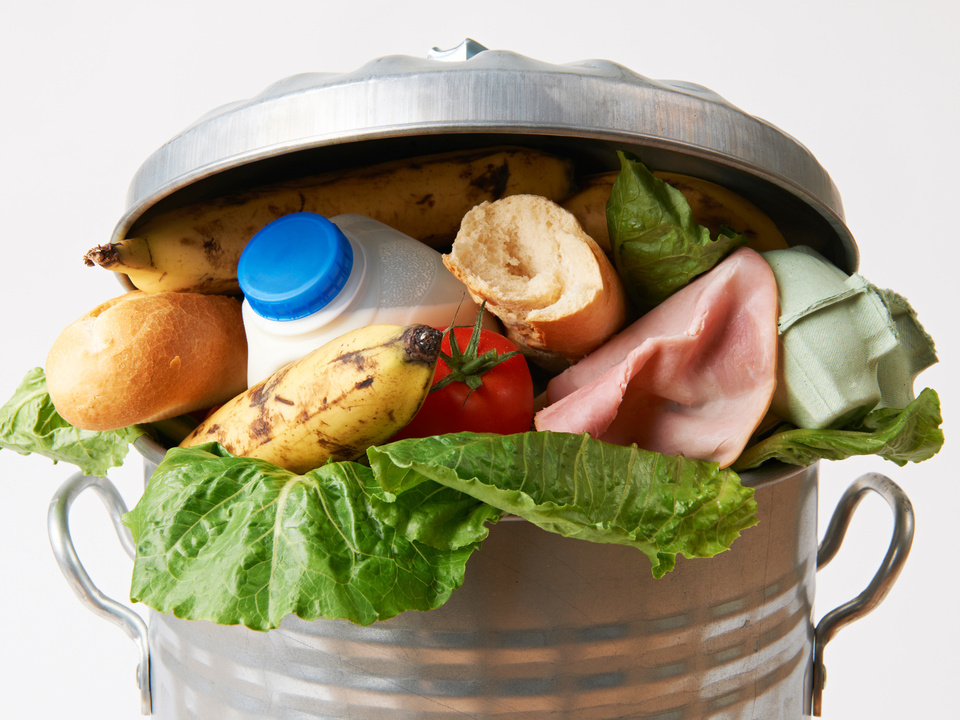 essen müll mülleimer lebensmittelverschwendung diät  symFresh Food In Garbage Can To Illustrate Waste
