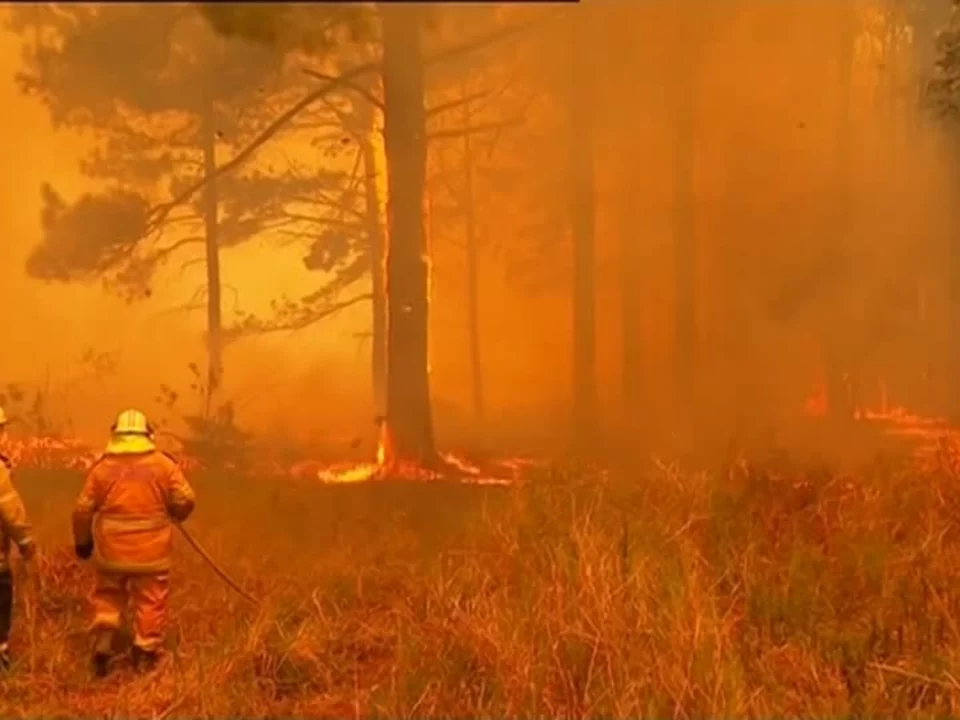 Buschfeuer in Australien: Höchste Warnstufe für Sydney