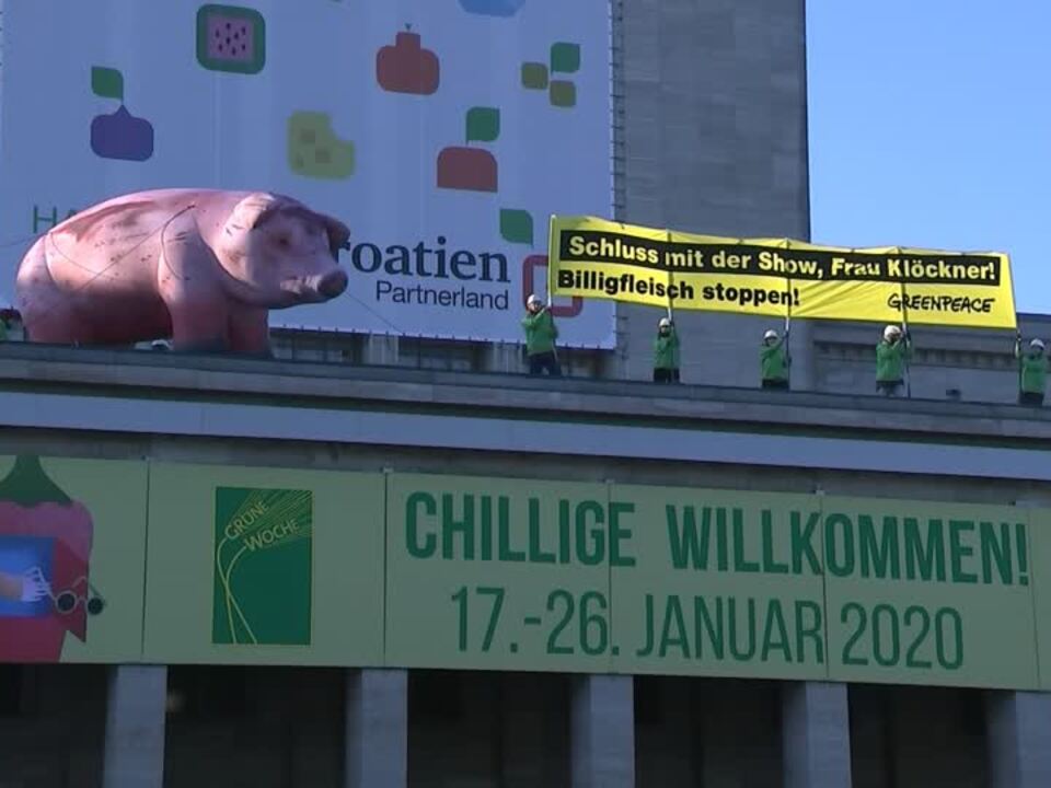 Greenpeace Demonstriert Auf Gruner Woche Fur Mehr Tierwohl Sudtirol News