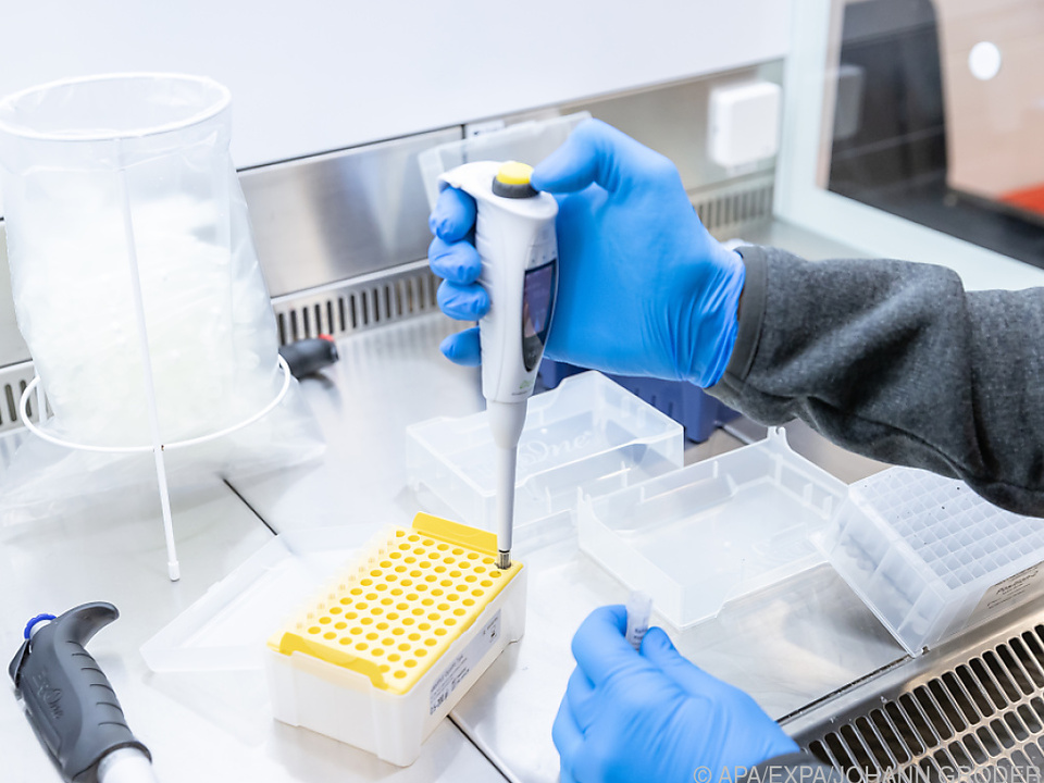 Durchführung eines PCR-Tests