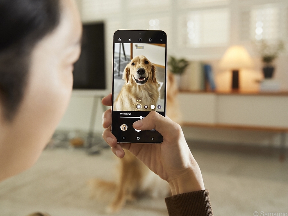 Mit der Kamera lassen sich auch Haustiere mit unscharfem Hintergrund ablichten