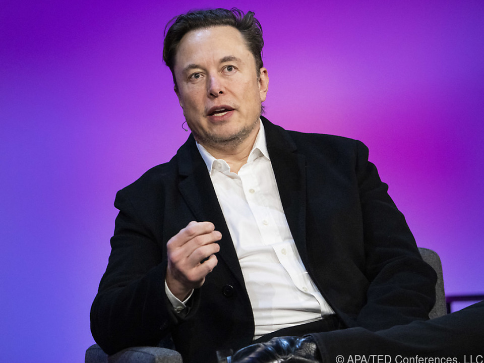 Elon Musk im Twitter-Vorstand unerwünscht