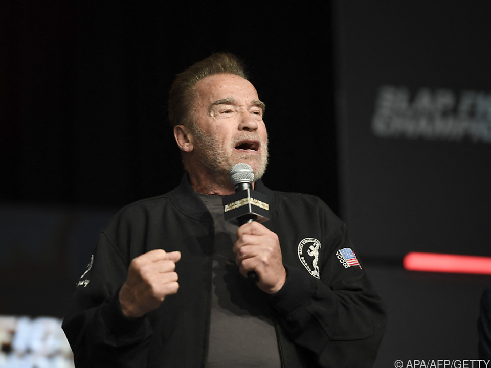 Erste Serien-Hauptrolle für Schwarzenegger