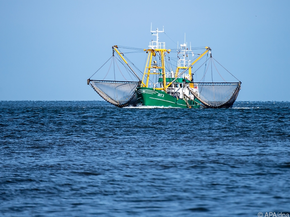 Die Überfischung der Meere ist weiterhin ein WTO-Streitthema