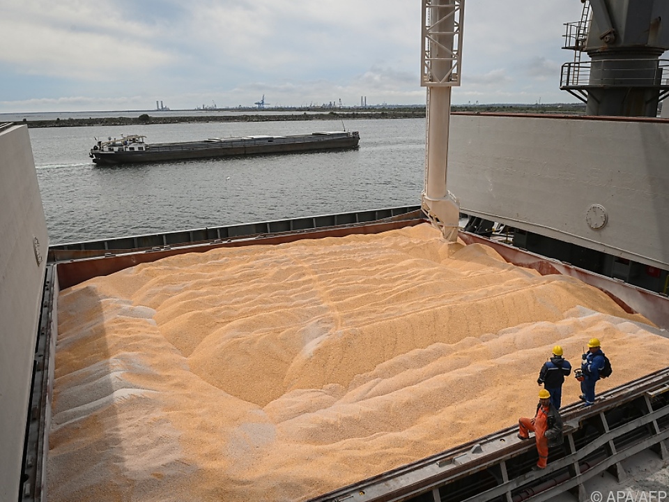 Millionen Tonnen Getreide können nicht aus Ukraine ausgeführt werden