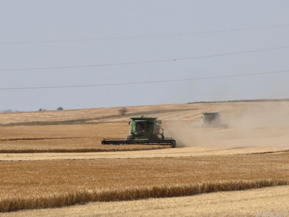 Ukraine essenzieller Exporteur von Weizen