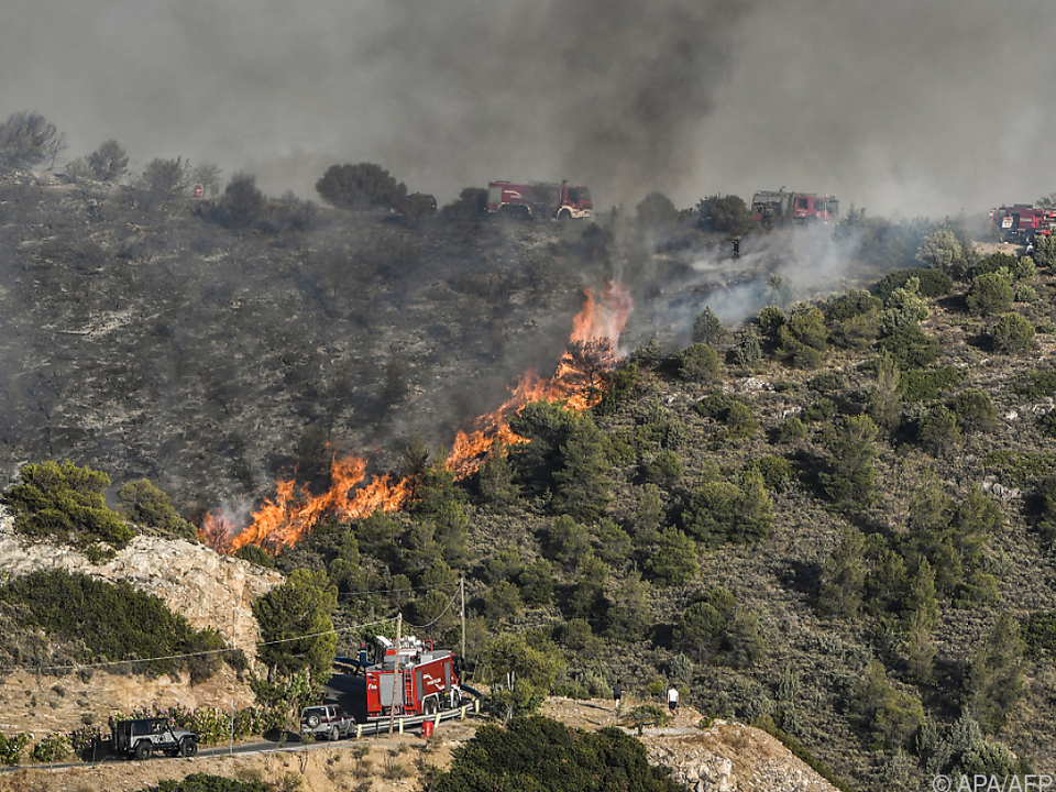 Auch heuer wüten wieder Waldbrände im Süden Europas