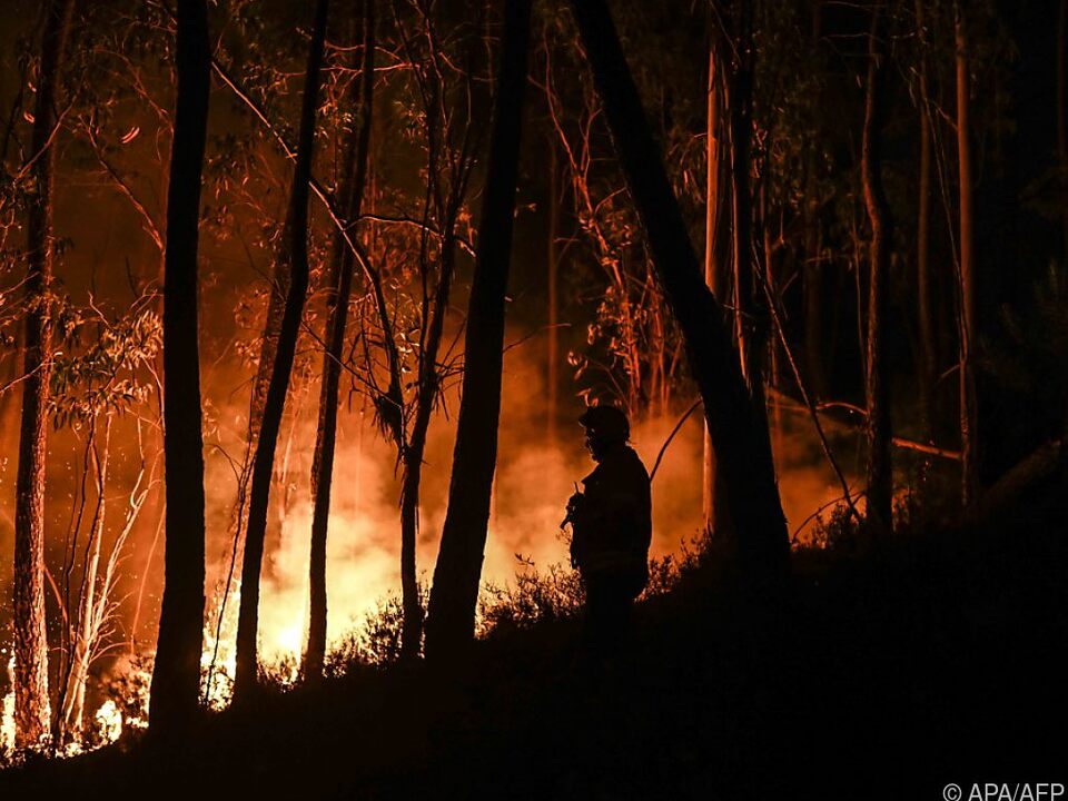 Mehr als 30 Waldbrände in Portugal