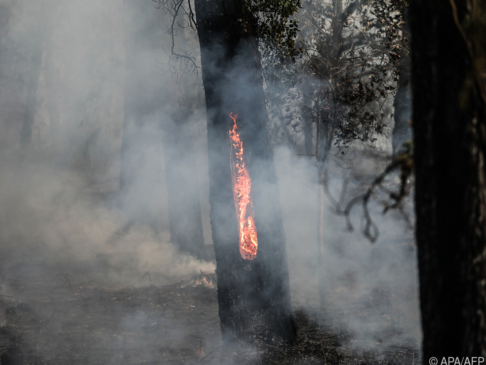 Waldbrände in Südwest-Frankreich sorgen für gespenstische Szenen