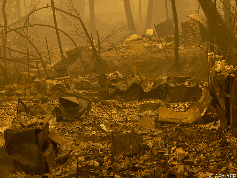 Brände vernichteten bereits mehr als 21.000 Hektar Fläche