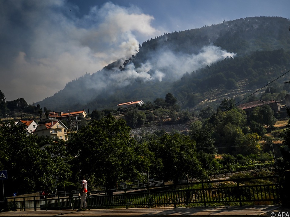 Feuer in portugiesischem Naturpark wieder aufgeflammt