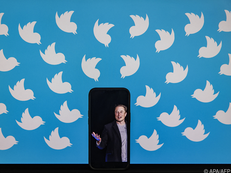 Flatterhaft: Elon Musk verwirrt weiter mit Tweets zu Twitter-Übernahme