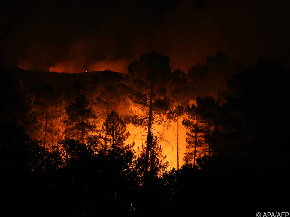 Waldbrand bei Verdacht auf Brandstiftung