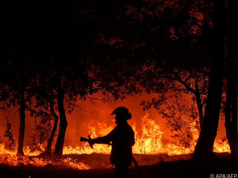Bei Bordeaux wüten wieder Waldbrände