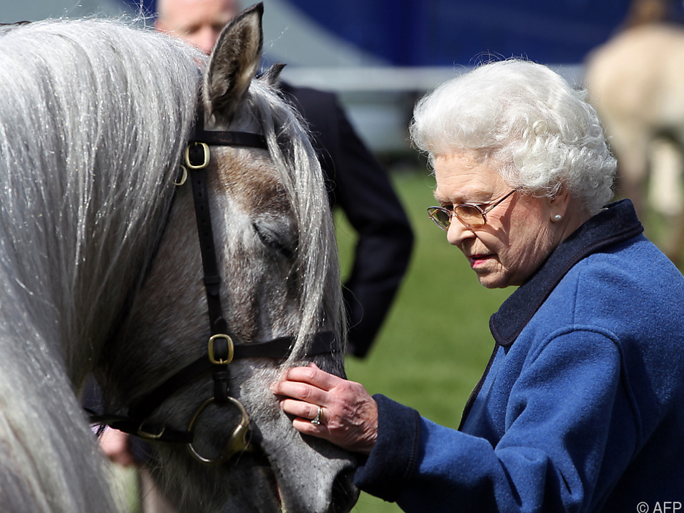 Die Queen liebte Pferde