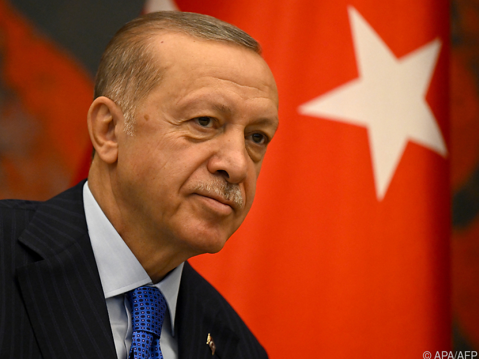 Erdogan von österreichischen Politikern derzeit wohlgelitten