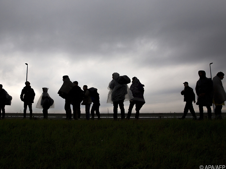 Migranten in Serbien auf dem Weg nach Kroatien