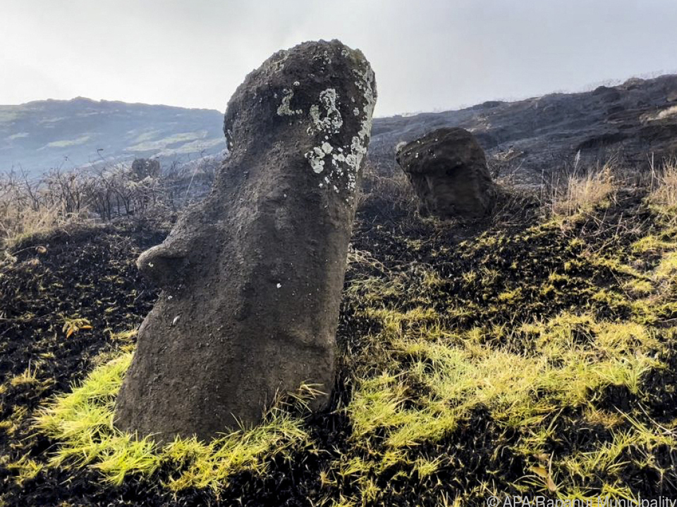 Moai auf rund 100 Hektar Land betroffen