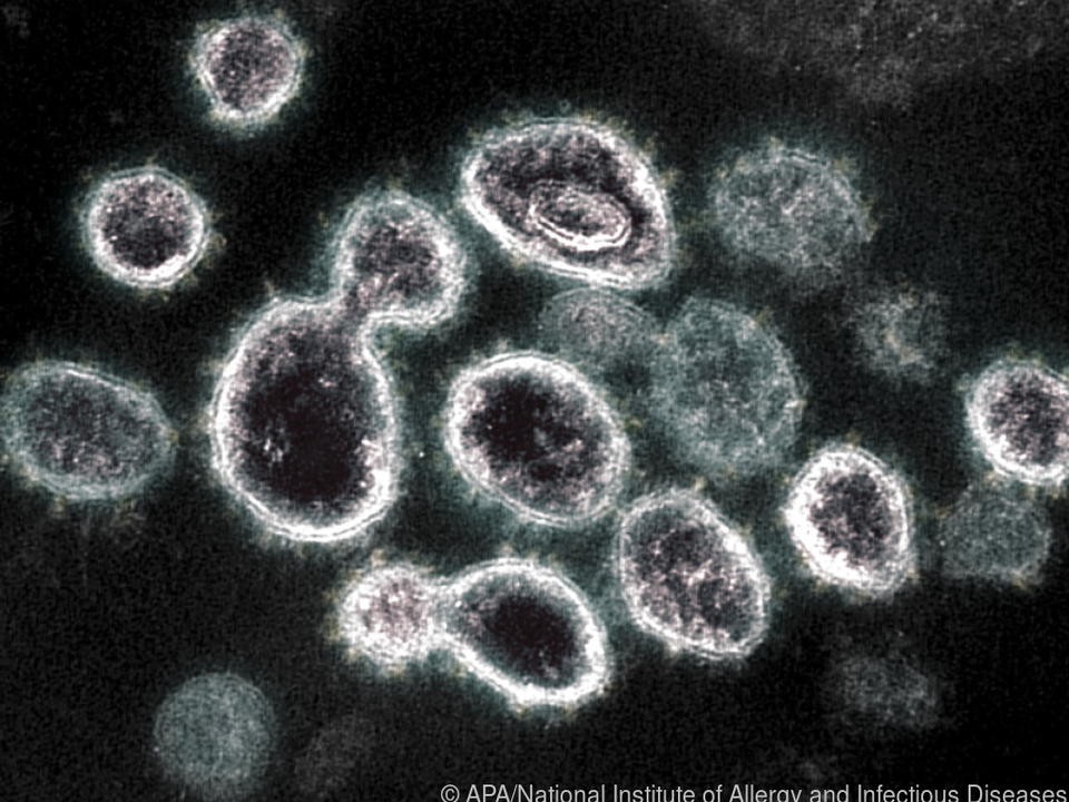 Neuinfektionen mit Coronaviren scheinen derzeit weniger zu werden