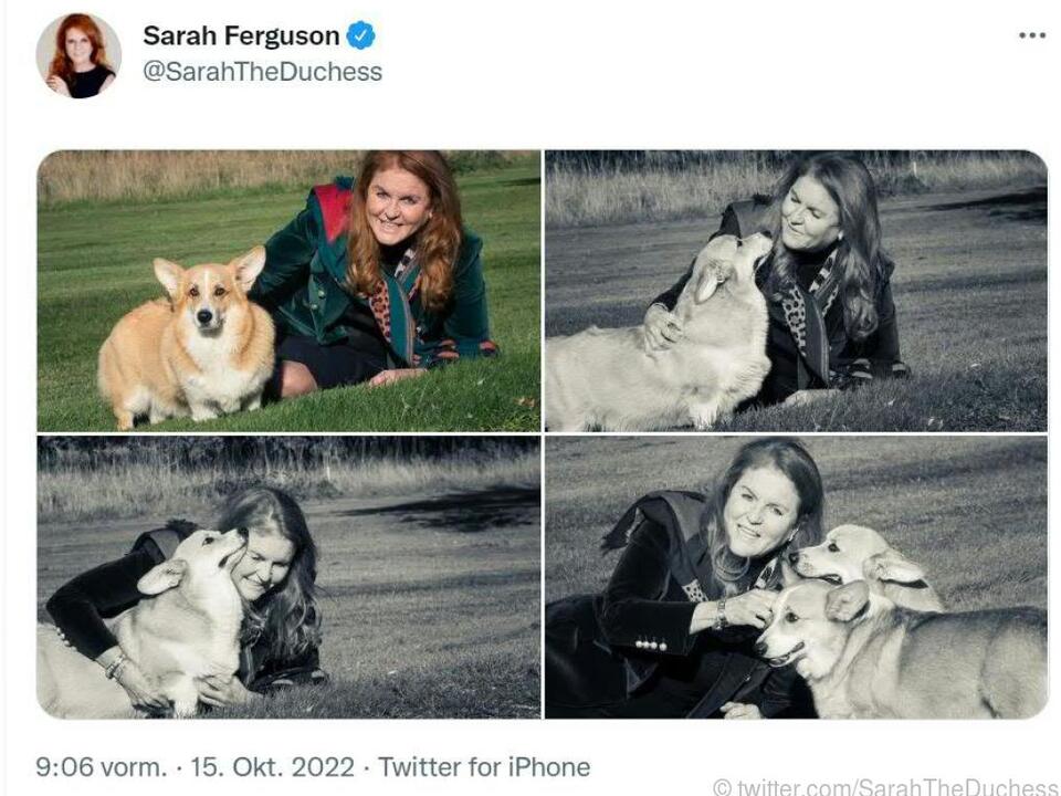 Sarah Ferguson ist auf den Hund gekommen