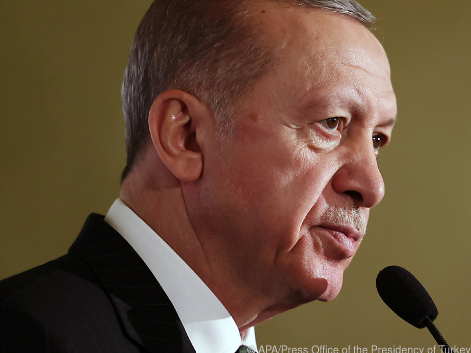 Türkeis Präsident Erdogan soll im Ukraine-Konflikt vermitteln