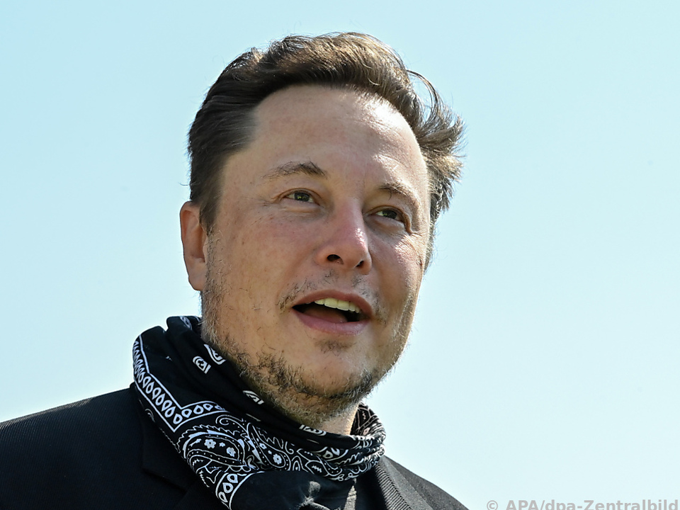 Musk kündigte Freischaltung der gesperrten Accounts an
