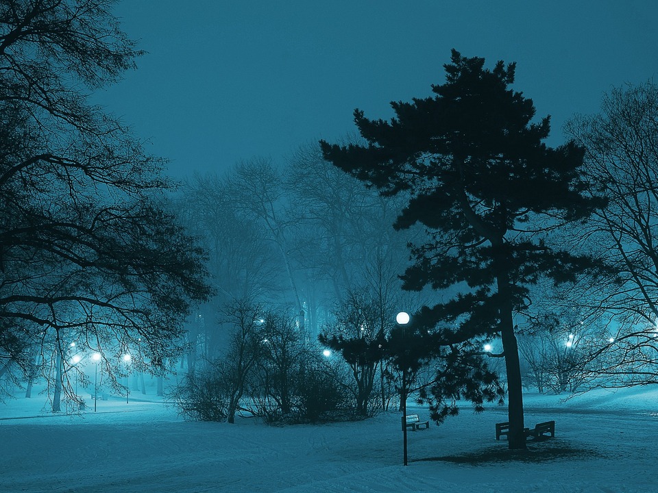 Park Nacht Winter