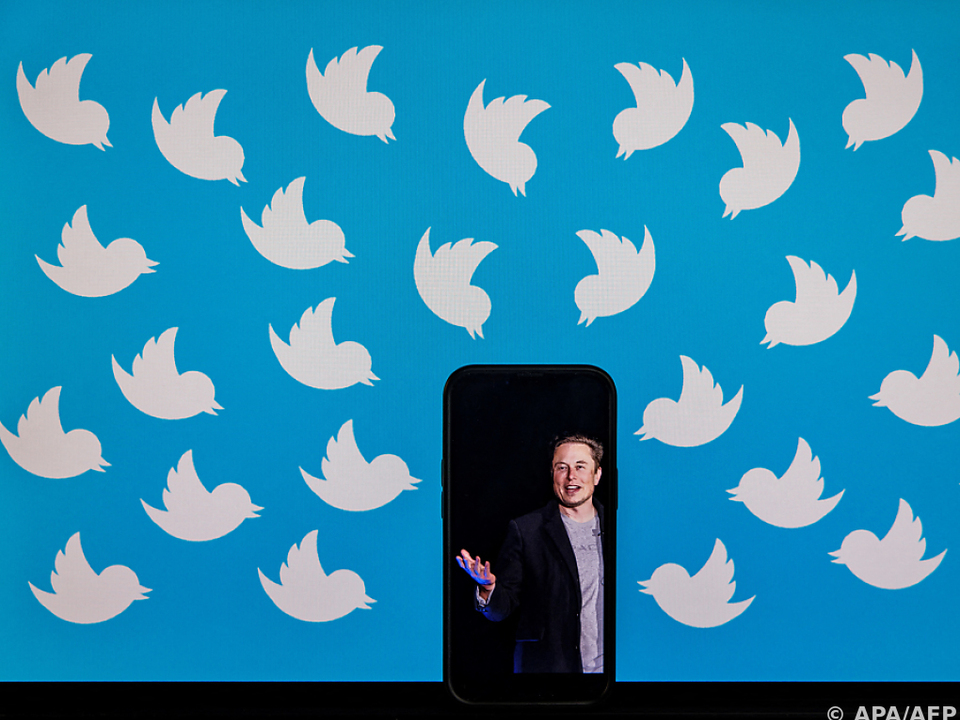 Elon Musk bringt Twitter durcheinander
