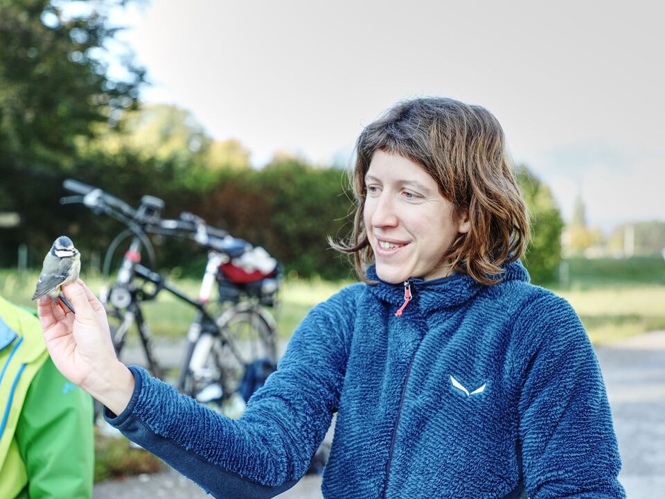 Runde zwei für die Meisenforschung VIDEO Südtirol News