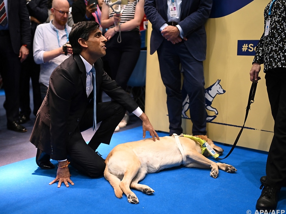 Premierminister Sunak ist ein Hundenarr