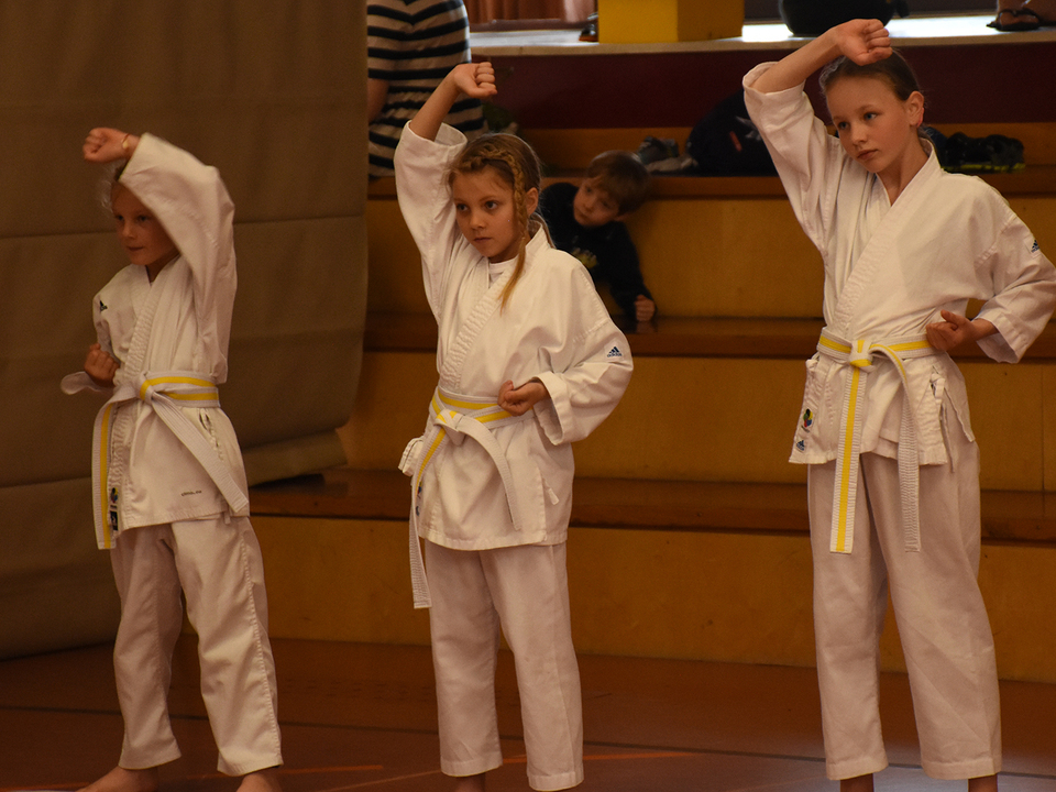 Karate Kids bei der Gürtelprüfung (2)