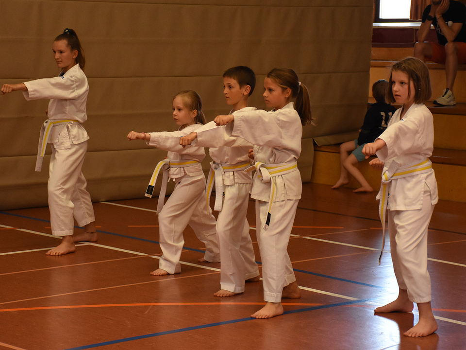 Karate Kids bei der Gürtelprüfung (3)