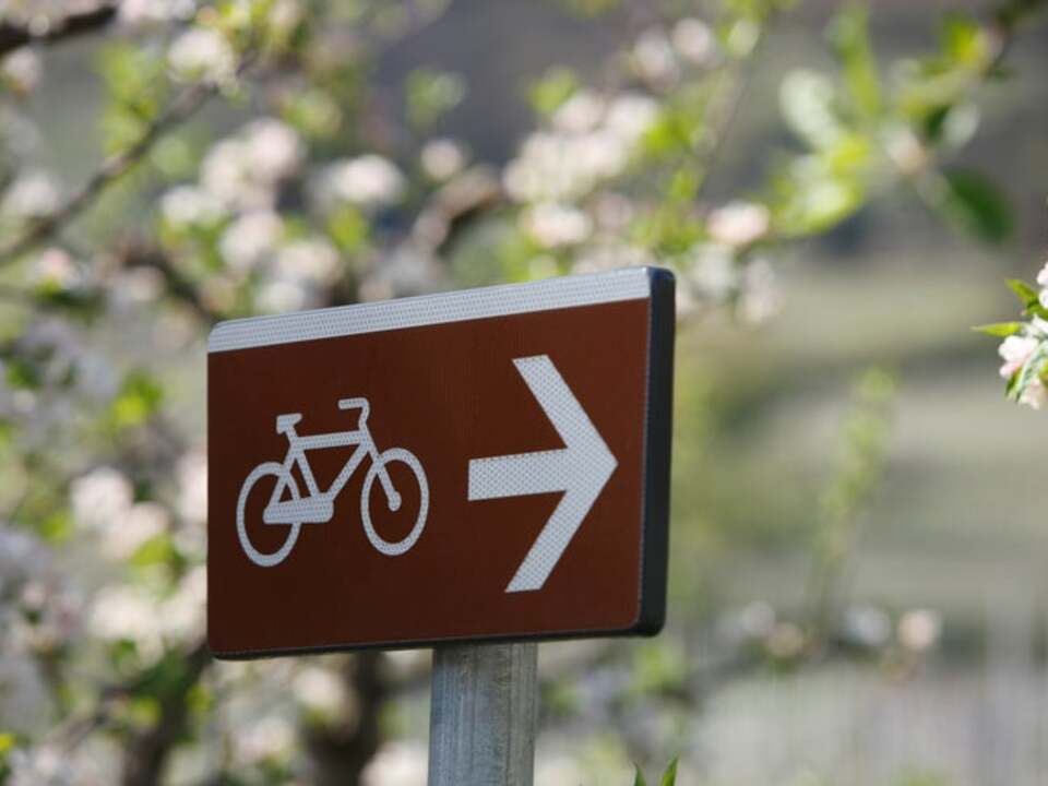 Fahrradweg Radweg IDM Südtirol-Frieder Blickle