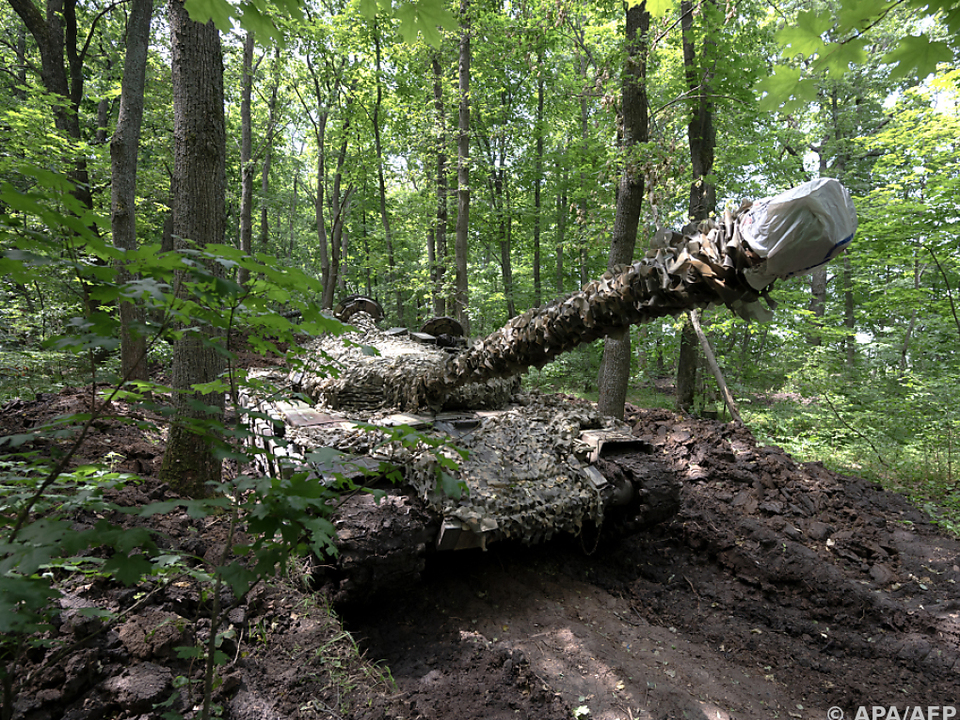 Ukrainischer Panzer in einem Waldstück (Themenbild)