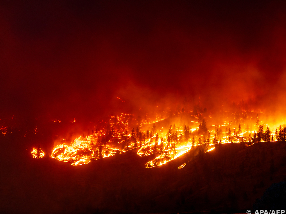 Schlimmste Waldbrandsaison seit Beginn der Aufzeichnungen in Kanada