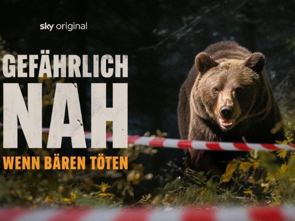 Wo war die bärenattacke im Trentino?