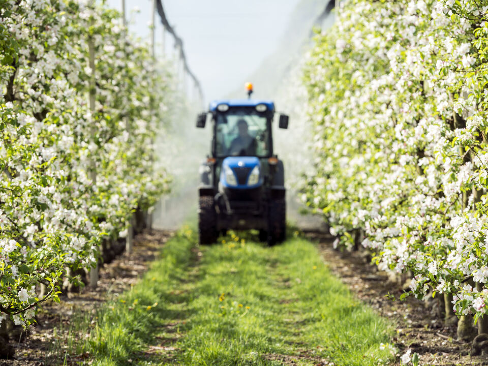 Bauernbund-in-Sorge-Invasive-Arten-gef-hrden-Biodiversit-t