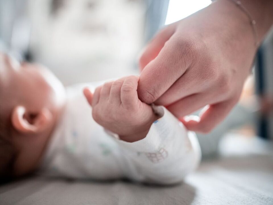 Adoption-STF-bringt-berarbeiteten-Antrag-in-den-Landtag-ein