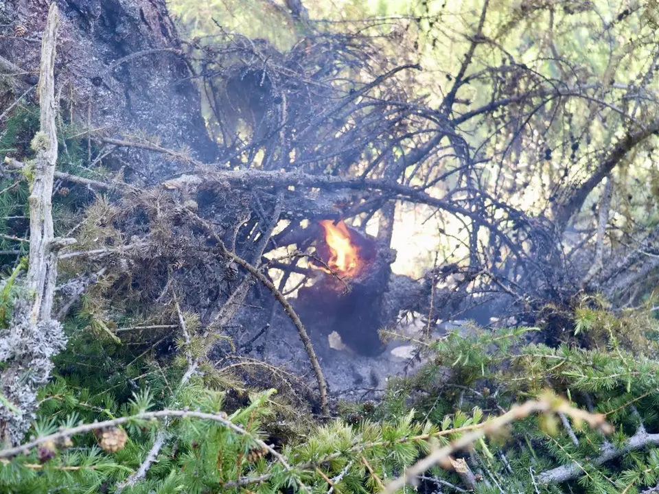 Kleiner Waldbrand in Langtaufers