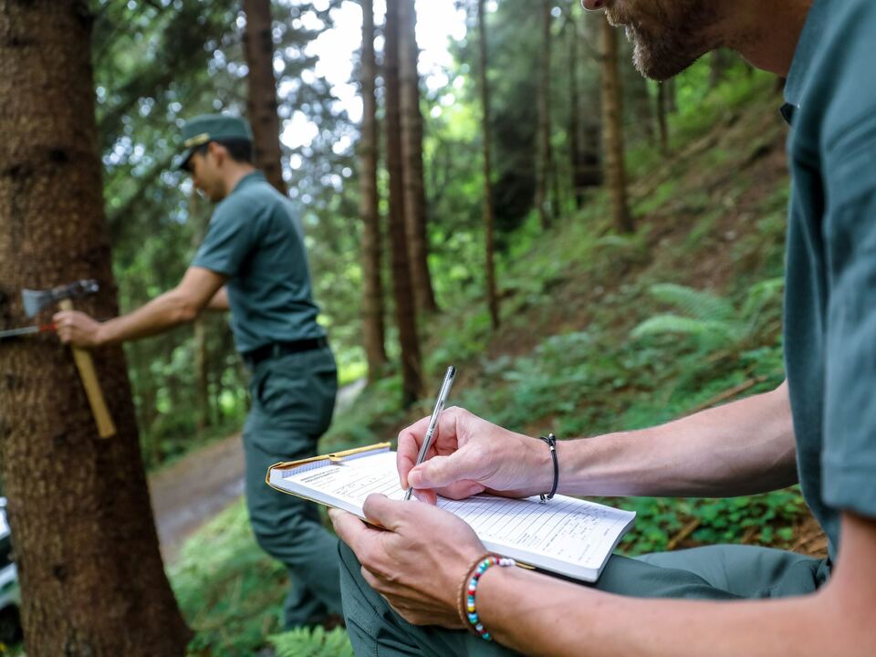 Stellenwettbewerb-Land-sucht-25-F-rster