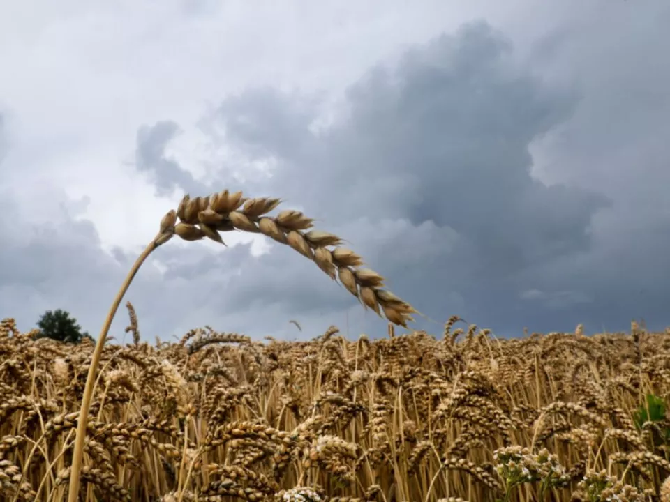 In Krisenzeiten soll eine Bevorratung möglich werden