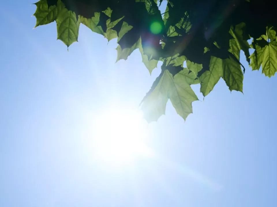 ++ ARCHIVBILD ++ Entscheidende Verringerung der ozonschädigenden Substanzen