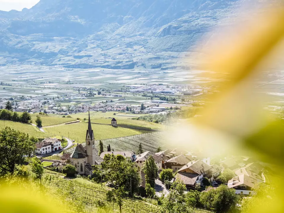 Montan_IDM06880_Benjamin Pfitscher