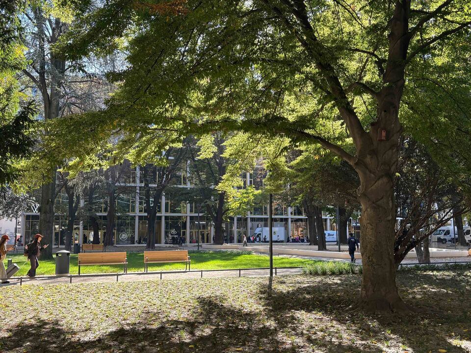 Start-frei-f-r-den-1-WaltherPark-Run-