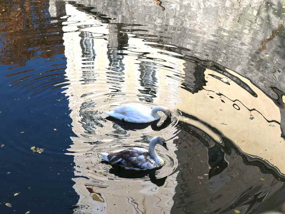 In-der-Hofburg-Brixen-wohnen-wieder-Schw-ne